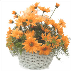 "Flower Basket with Gerberas, Glades, Lilies and Fillers - Click here to View more details about this Product